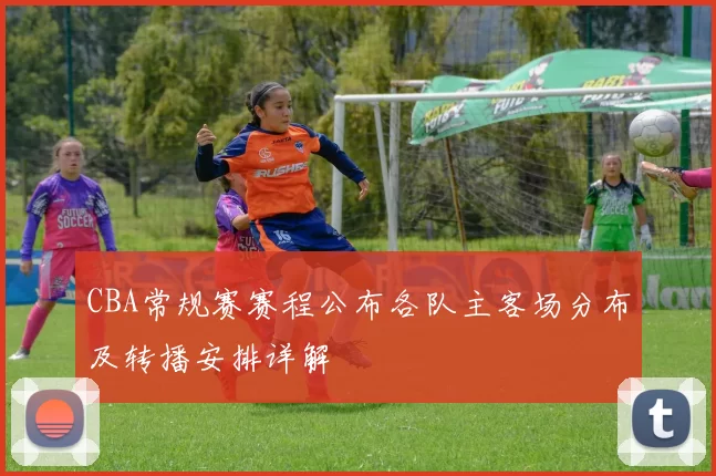 CBA常规赛赛程公布各队主客场分布及转播安排详解
