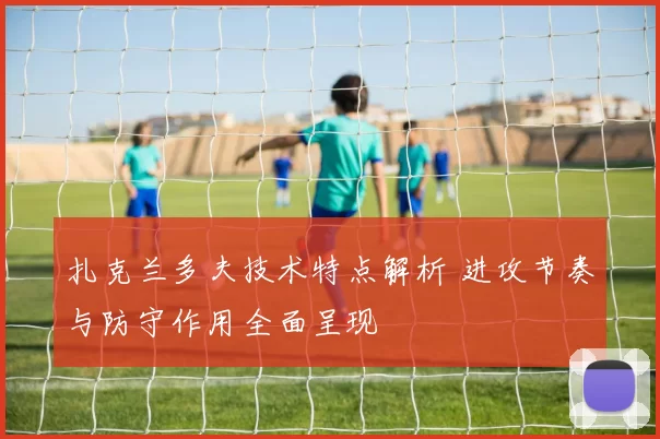 扎克兰多夫技术特点解析 进攻节奏与防守作用全面呈现