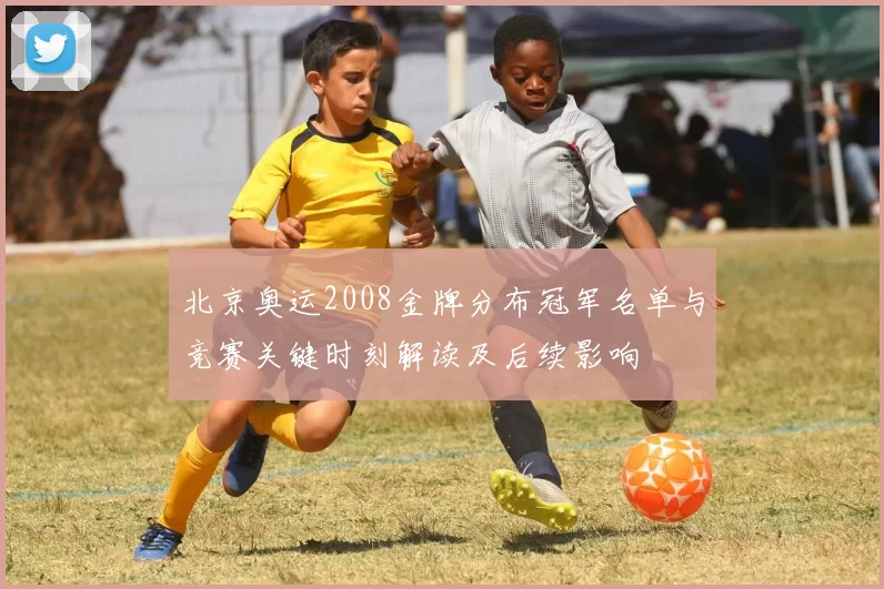 北京奥运2008金牌分布冠军名单与竞赛关键时刻解读及后续影响