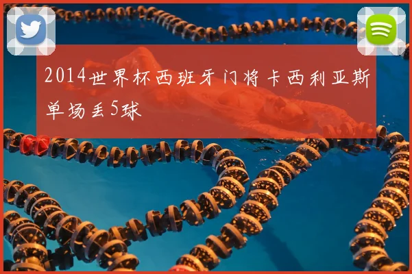 2014世界杯西班牙门将卡西利亚斯单场丢5球