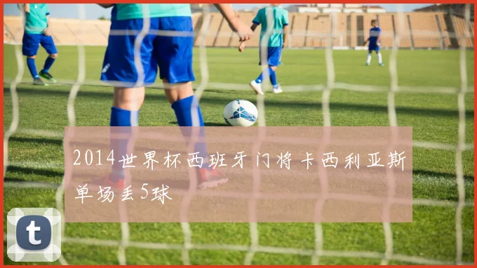 2014世界杯西班牙门将卡西利亚斯单场丢5球